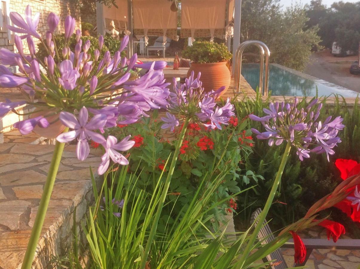 Opera House Paxos Hotel Gaios Luaran gambar